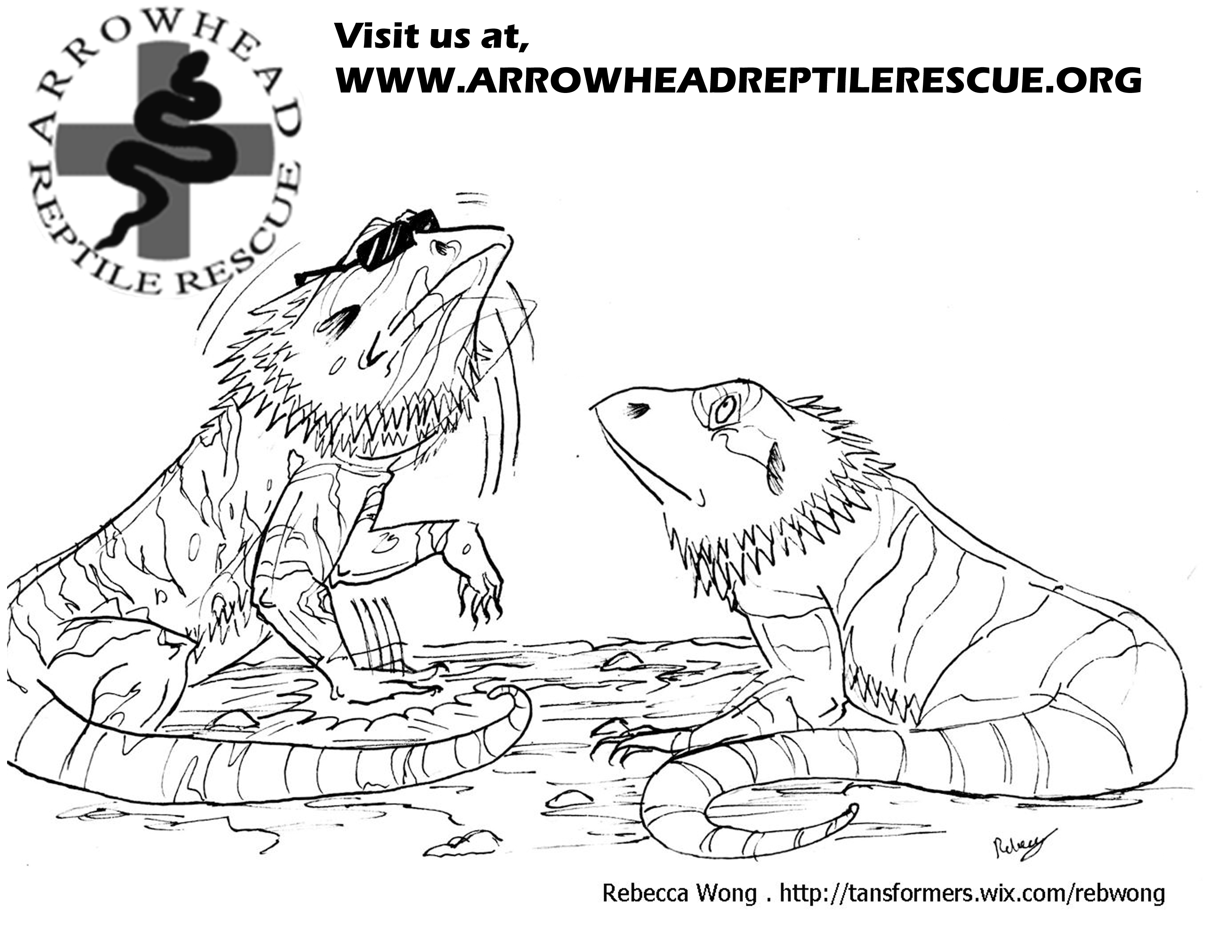 a to z reptile coloring pages - photo #32